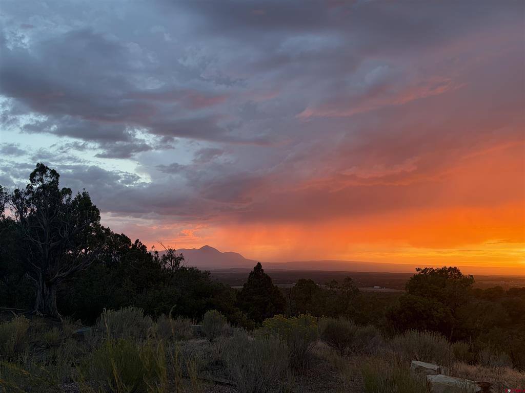 10877 Road 35 Mancos CO 81328