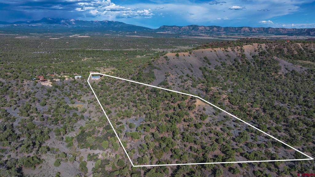 10877 Road 35 Mancos CO 81328