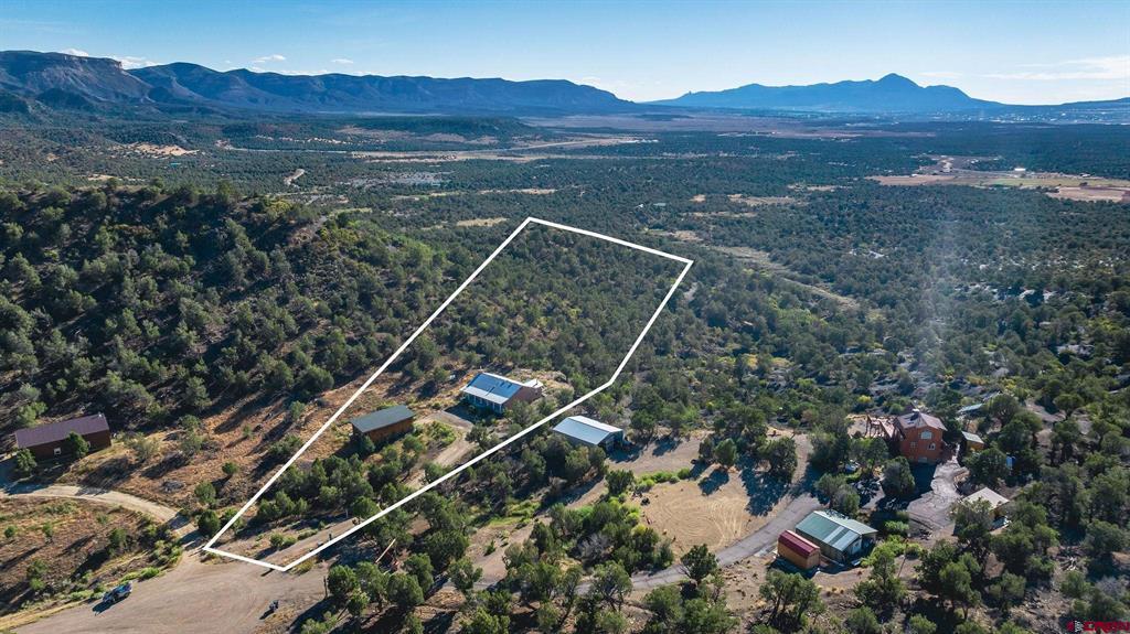 10877 Road 35 Mancos CO 81328