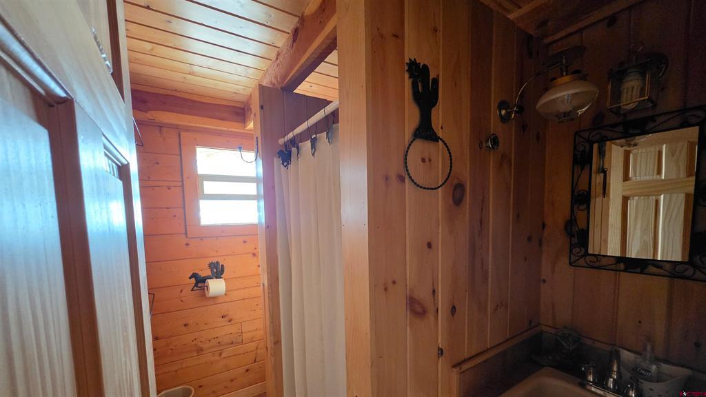 11993 County Road 42k Del Norte CO 81132