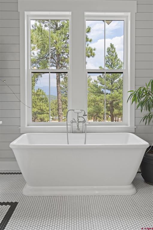 93 S Squaw Canyon Place Pagosa Springs CO 81147