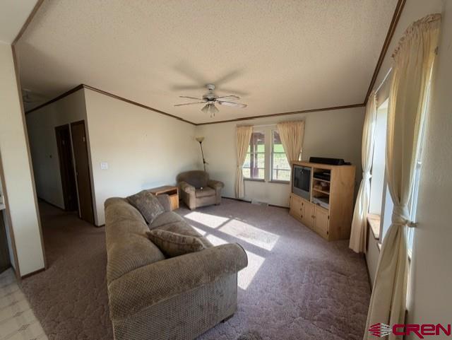 3511 Cr 514 Ignacio CO 81137