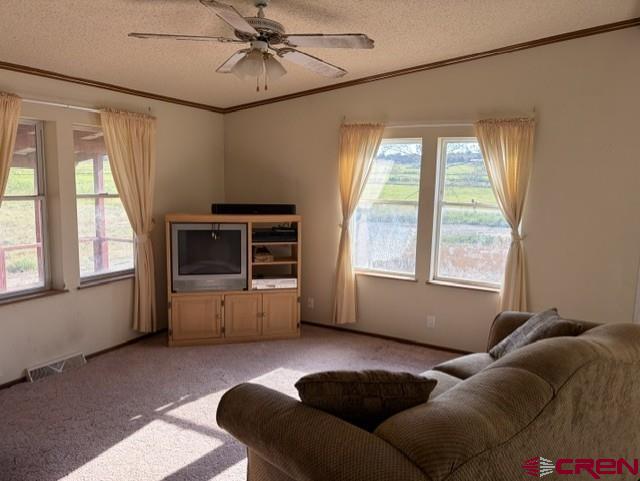 3511 Cr 514 Ignacio CO 81137