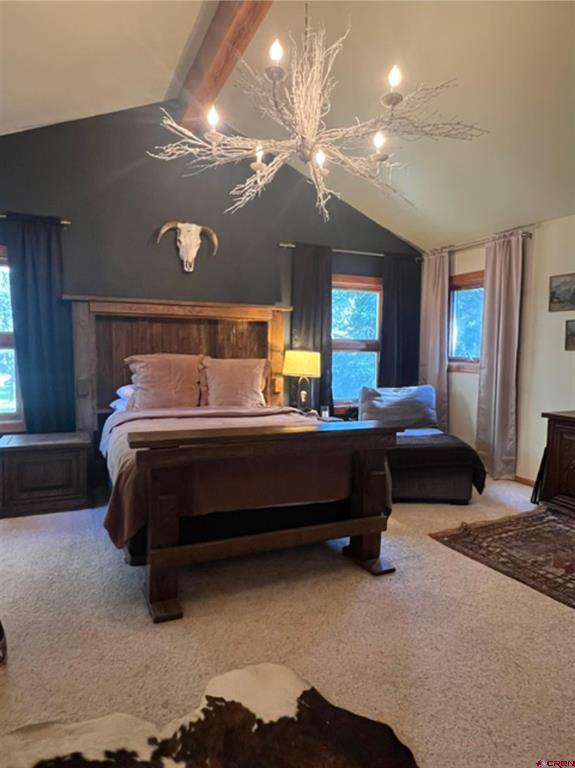 245 Mushroom Drive Bayfield CO 81122