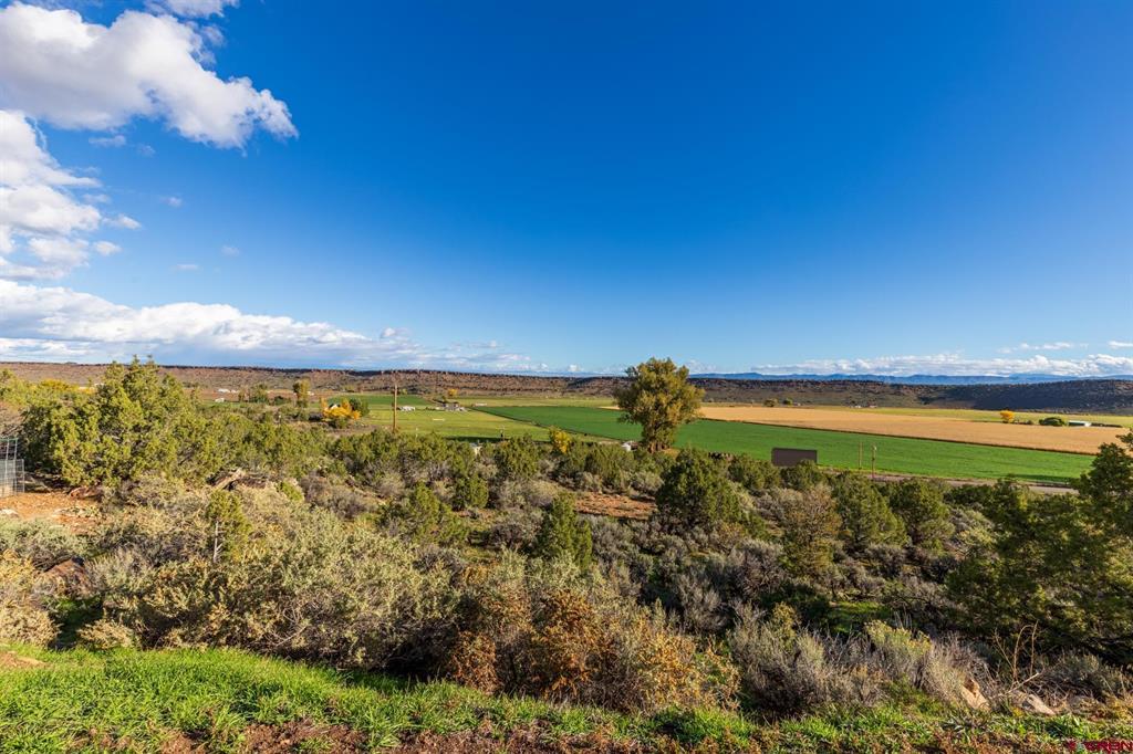 16901 Shavano Valley Road Montrose CO 81403