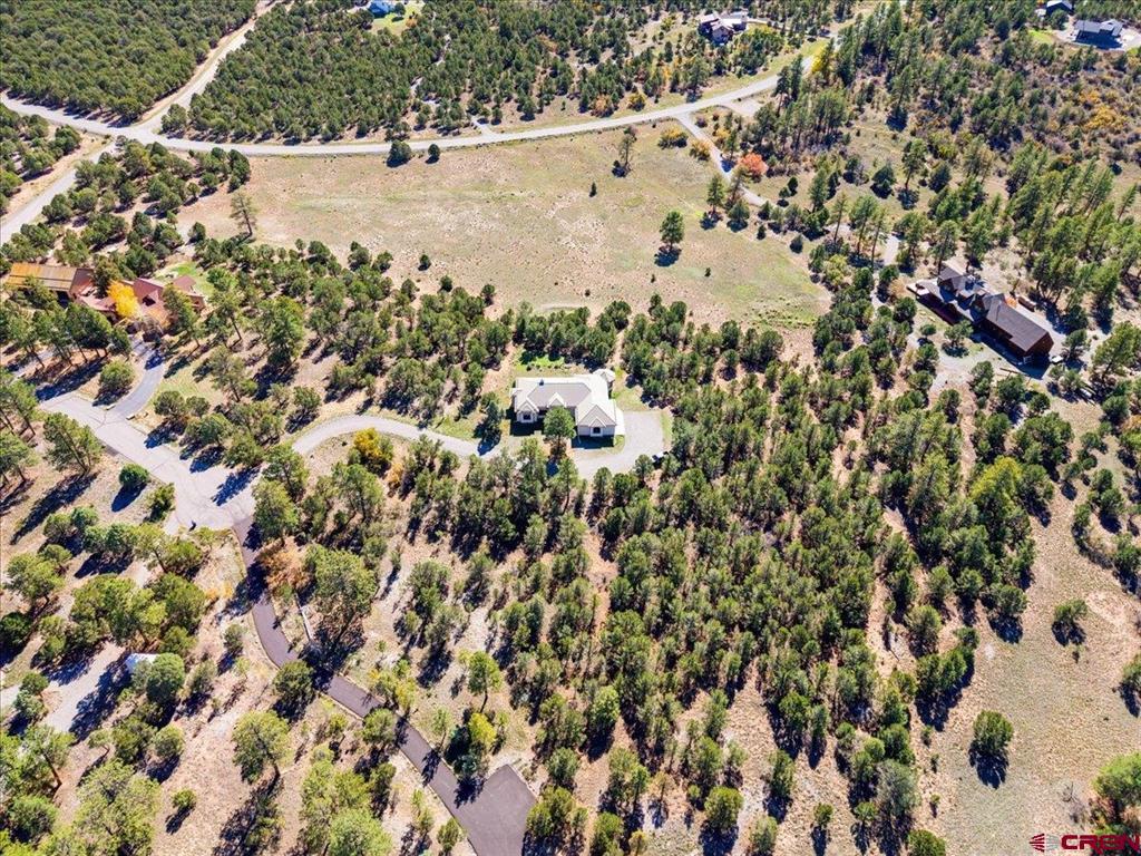 40 Juniper Lane Ridgway CO 81432