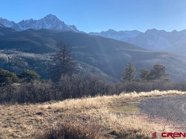 8935 County Road 5 Ridgway CO 81432