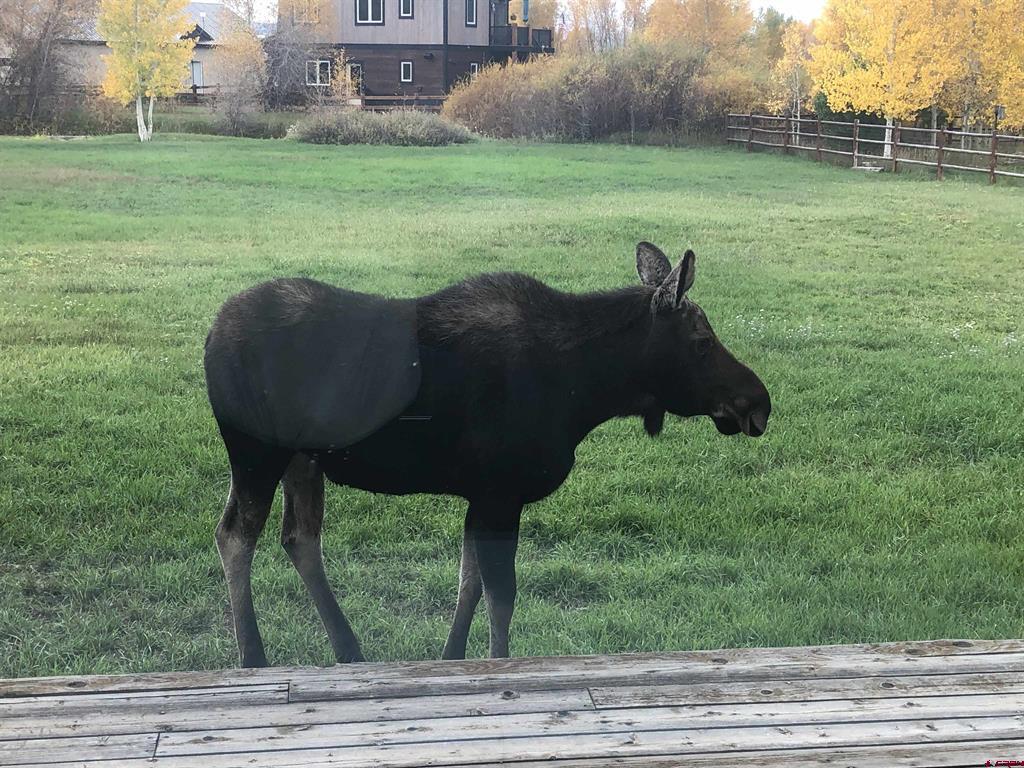 100 Meadow Lark Trail Gunnison CO 81230