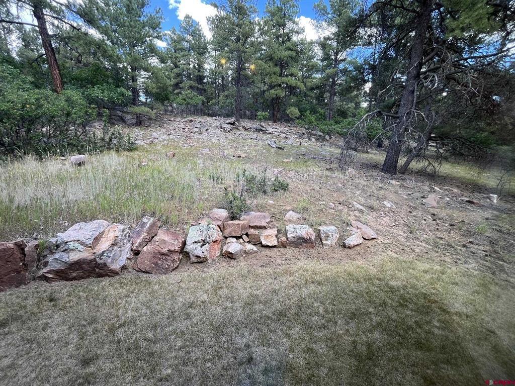 137 Wilderness Drive Pagosa Springs CO 81147