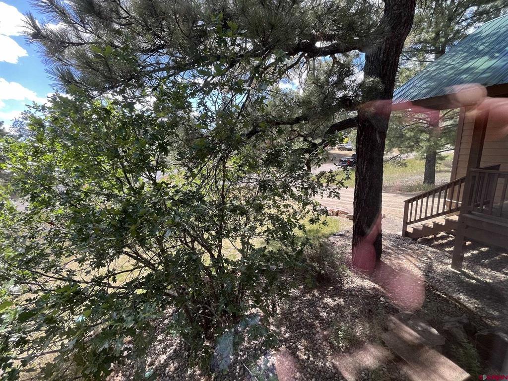 137 Wilderness Drive Pagosa Springs CO 81147