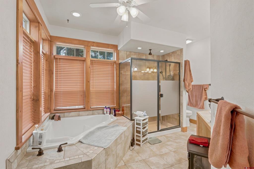 9 Longmont Court Pagosa Springs CO 81147