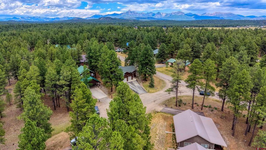 9 Longmont Court Pagosa Springs CO 81147