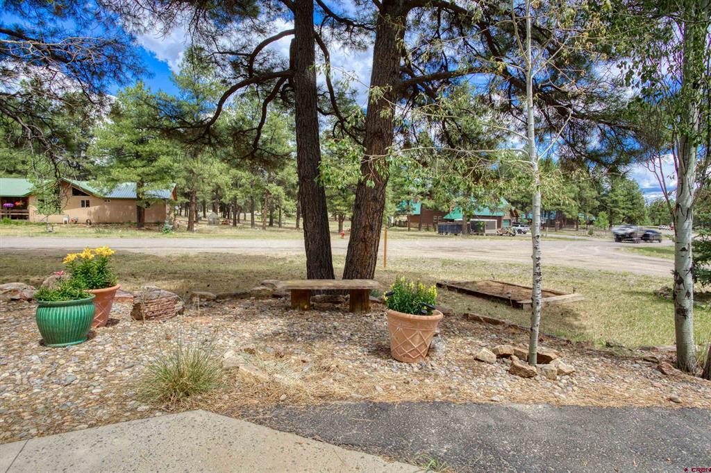 9 Longmont Court Pagosa Springs CO 81147