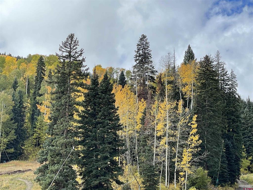 117 Needles Way Durango CO 81301