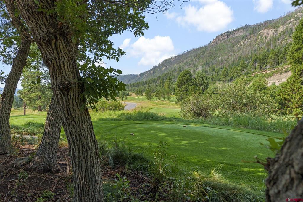 73 S Tamarron Drive Durango CO 81301