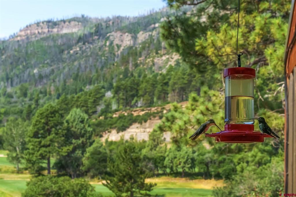 73 S Tamarron Drive Durango CO 81301
