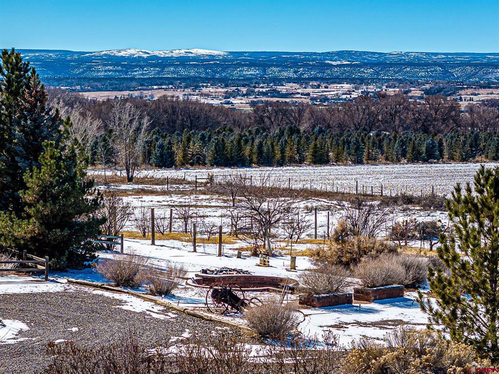 12689 6100 Road Montrose CO 81403