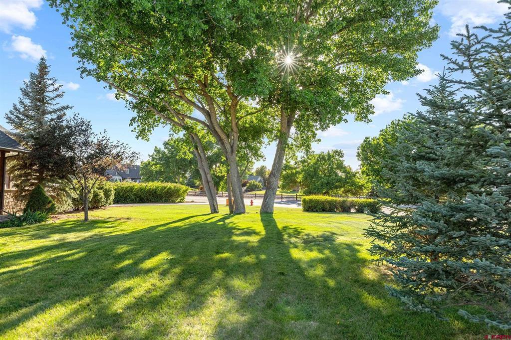 4057 Pioneer Road Montrose CO 81403
