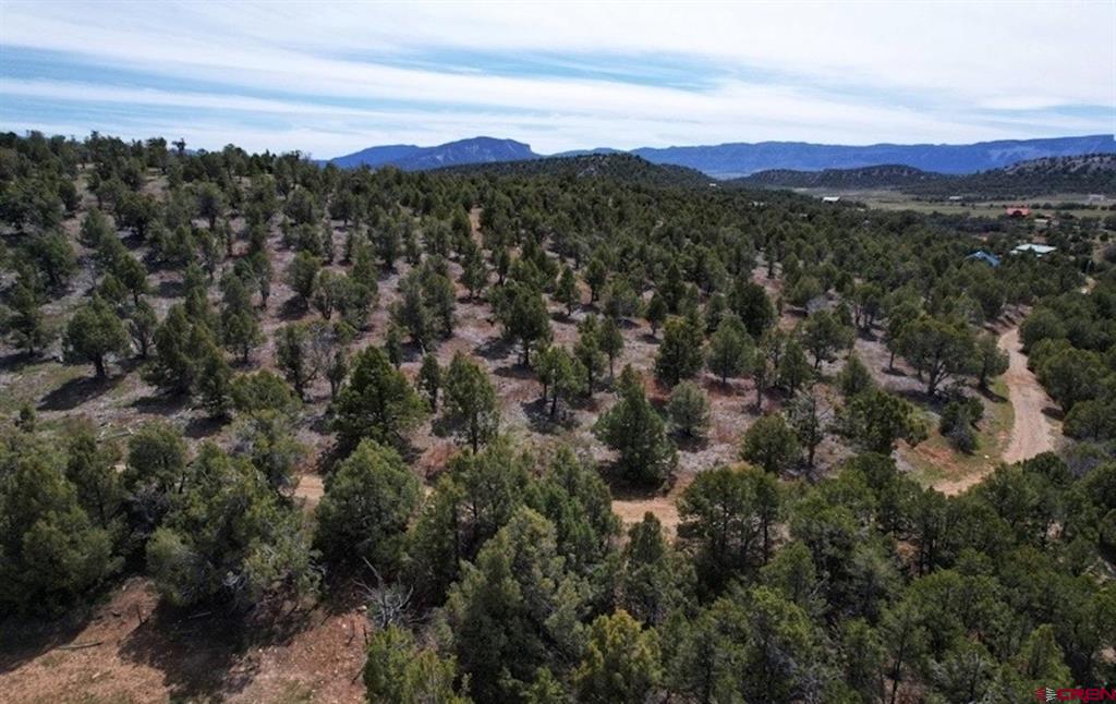 10726 Road 41.2 Mancos CO 81328