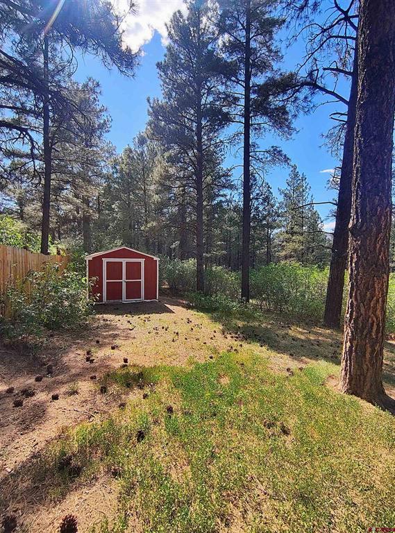 383 Steep Place Pagosa Springs CO 81147