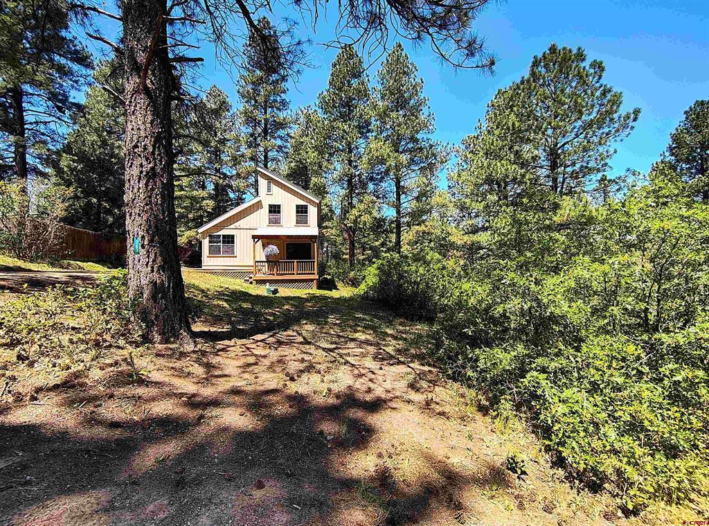 383 Steep Place Pagosa Springs CO 81147