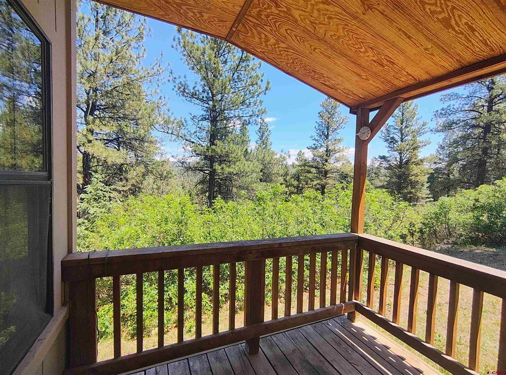 383 Steep Place Pagosa Springs CO 81147