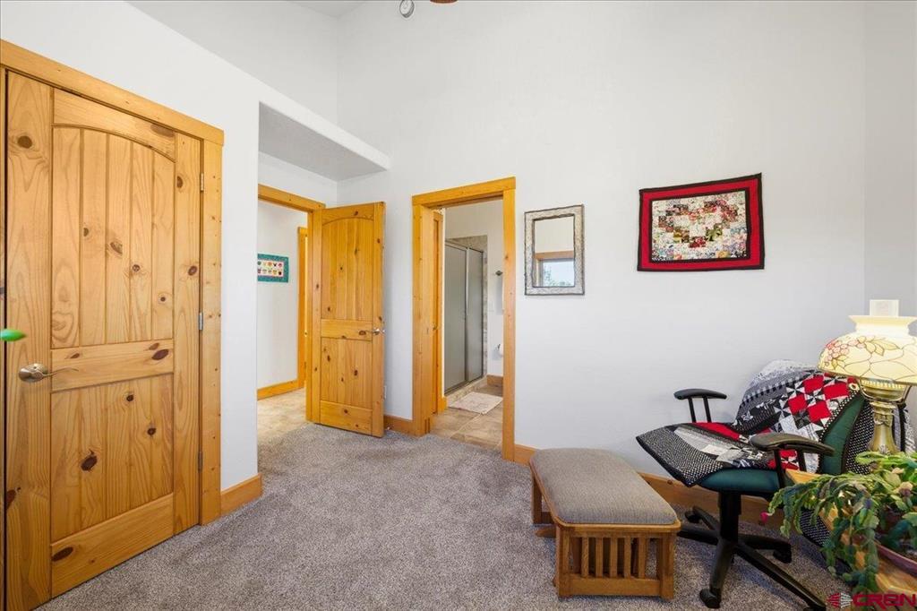 75 Pinnacle Drive Ridgway CO 81432