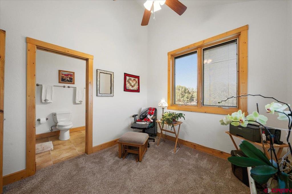 75 Pinnacle Drive Ridgway CO 81432