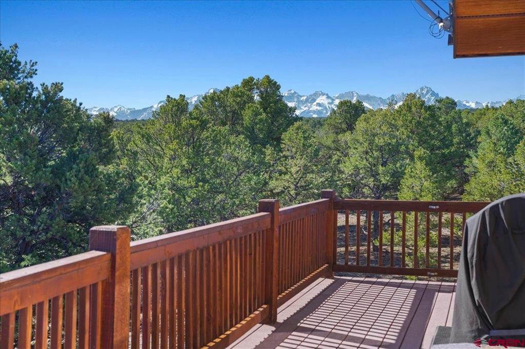 75 Pinnacle Drive Ridgway CO 81432