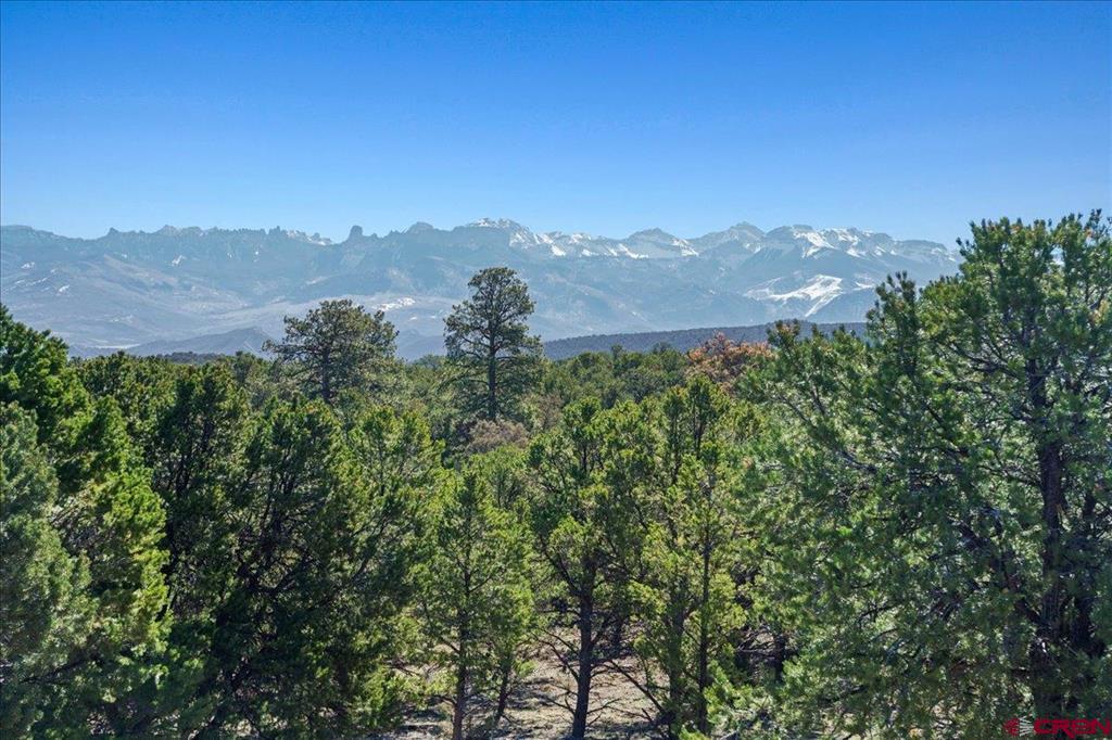 75 Pinnacle Drive Ridgway CO 81432