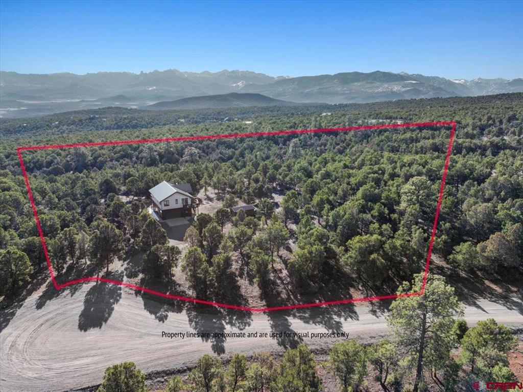 75 Pinnacle Drive Ridgway CO 81432