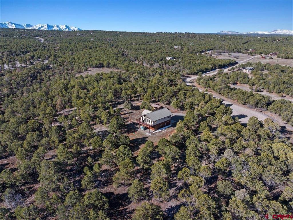 75 Pinnacle Drive Ridgway CO 81432