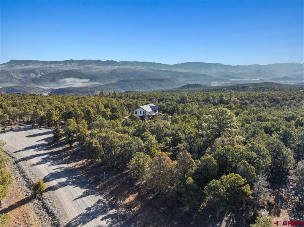 75 Pinnacle Drive Ridgway CO 81432