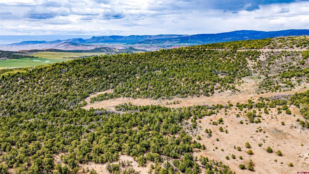 73035 Q72 Road Montrose CO 81401