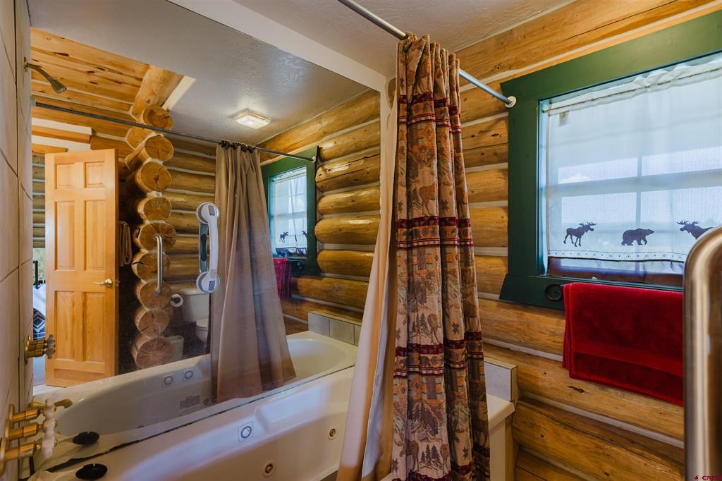 374 Carlee Place Pagosa Springs CO 81147