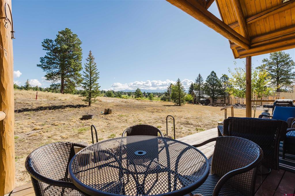 374 Carlee Place Pagosa Springs CO 81147