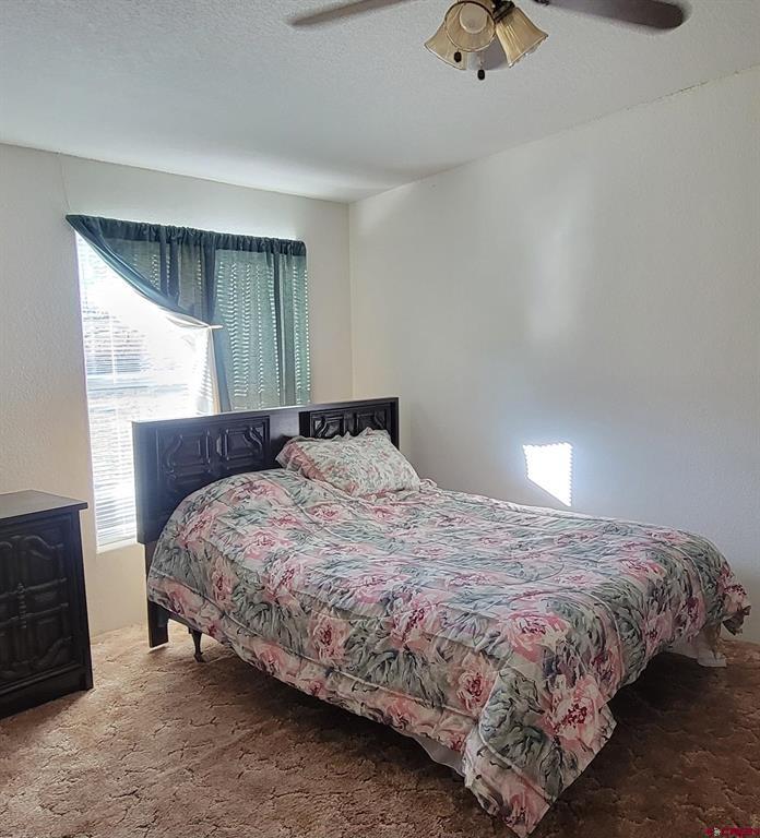188 Vail Pass Road South Fork CO 81154