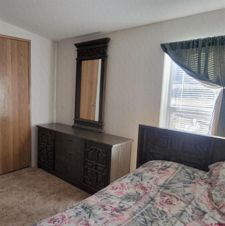 188 Vail Pass Road South Fork CO 81154