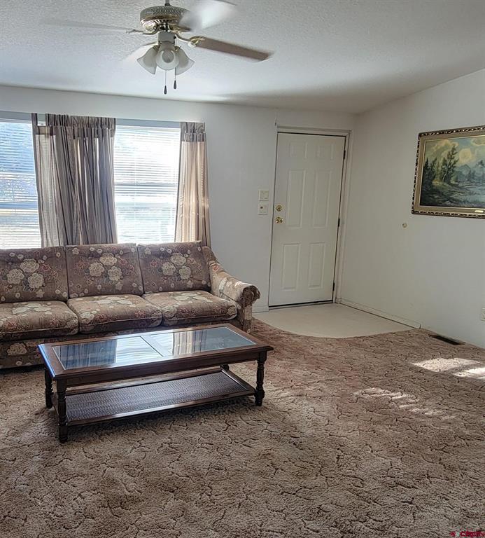 188 Vail Pass Road South Fork CO 81154
