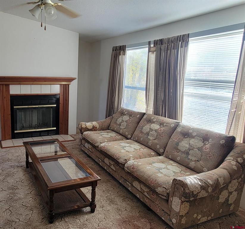 188 Vail Pass Road South Fork CO 81154