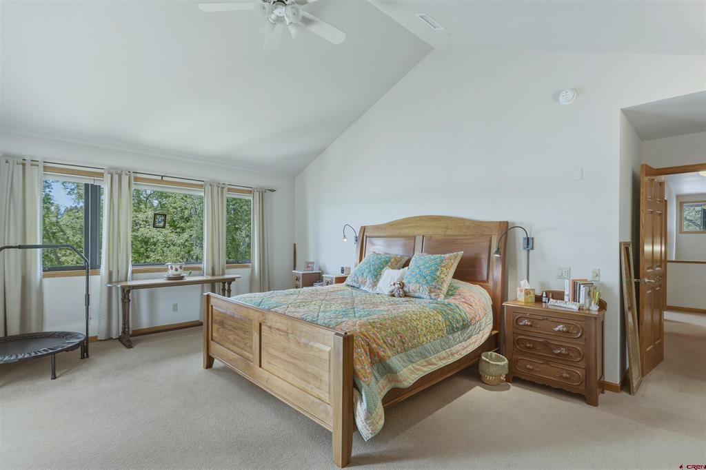 1215 Cloud Cap Avenue Pagosa Springs CO 81147