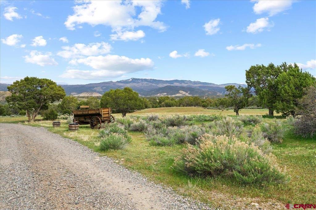281 Stormy Trail Montrose CO 81403