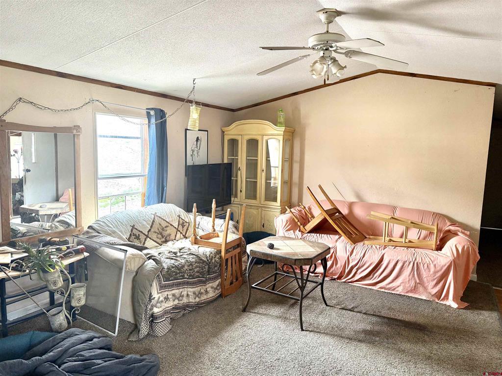67729 Lasalle Road Montrose CO 81401