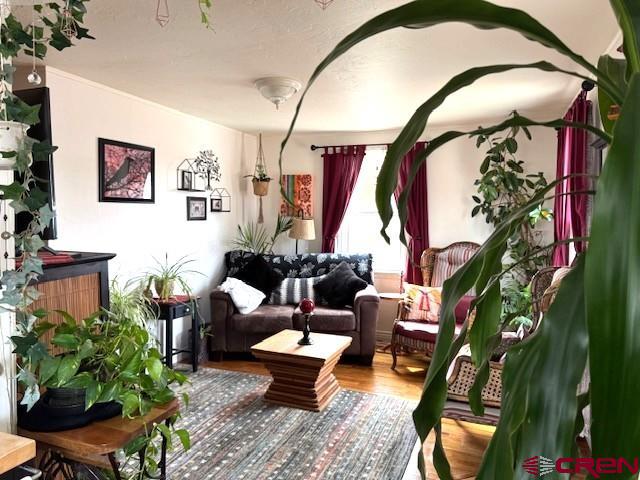 308 N Beech Street Cortez CO 81321