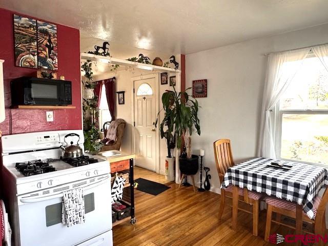 308 N Beech Street Cortez CO 81321