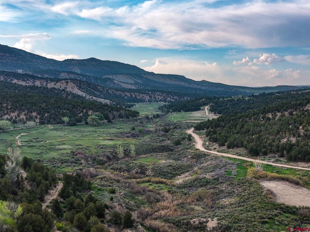 3217 County Road 41 Mancos CO 81328