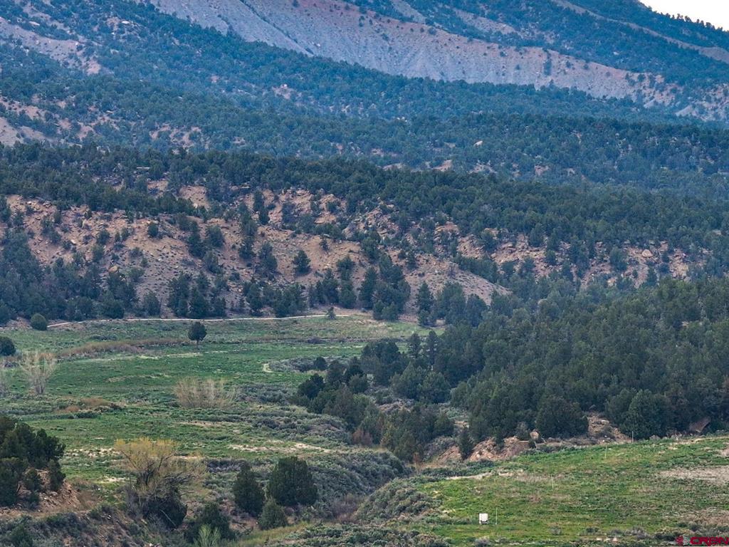 3217 County Road 41 Mancos CO 81328