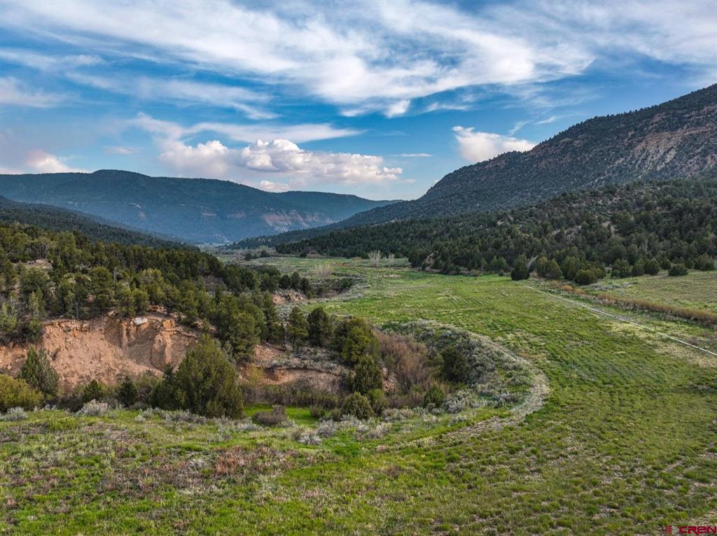 3217 County Road 41 Mancos CO 81328