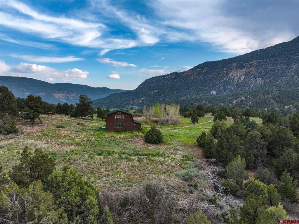 3217 County Road 41 Mancos CO 81328
