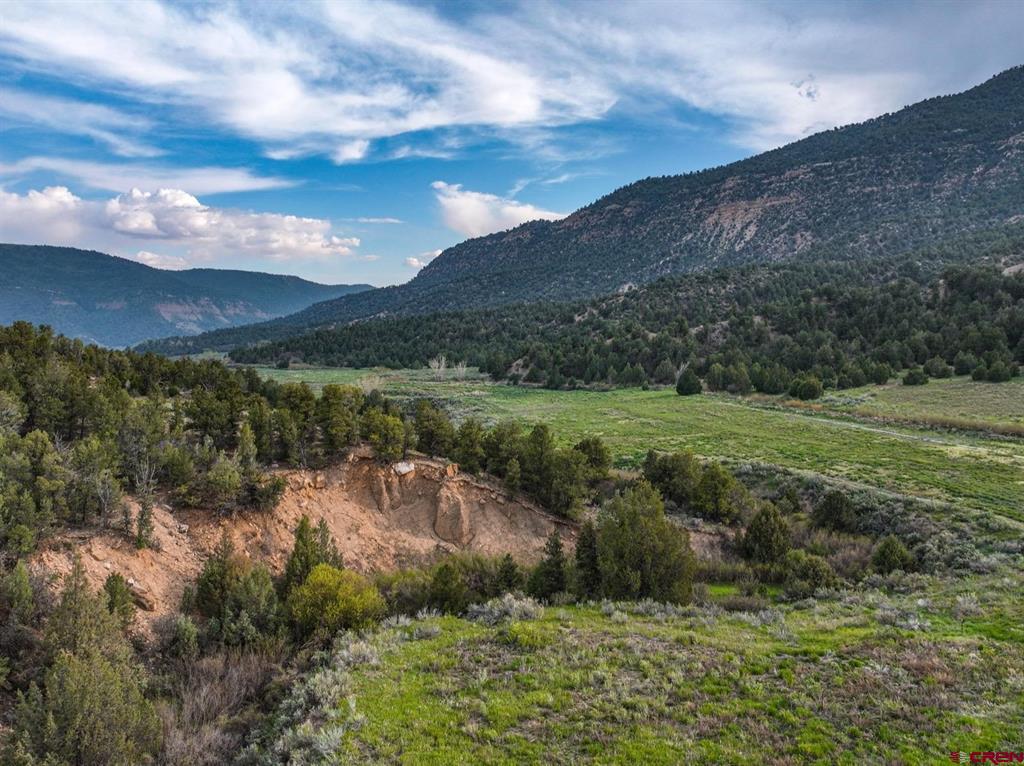 3217 County Road 41 Mancos CO 81328